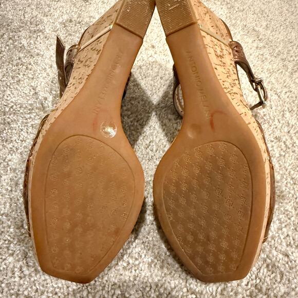 Antonio Melani 9 Selena metallic perforated t strap cork platform wedge 3088 - Picture 2 of 9